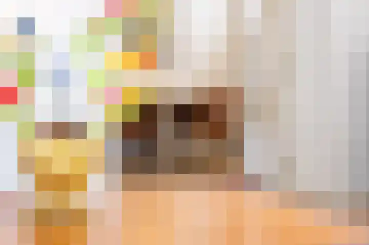 Jeudje 8 Hoorn thumbnail 21