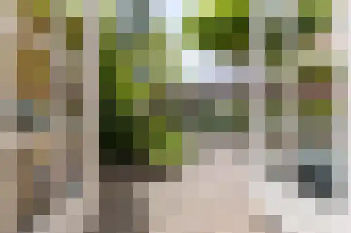 Jeudje 8 Hoorn thumbnail 35