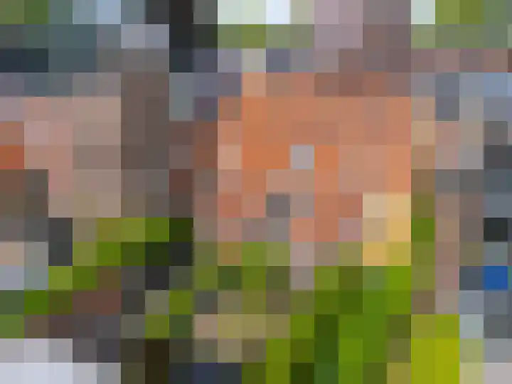 Jeudje 8 Hoorn thumbnail 4