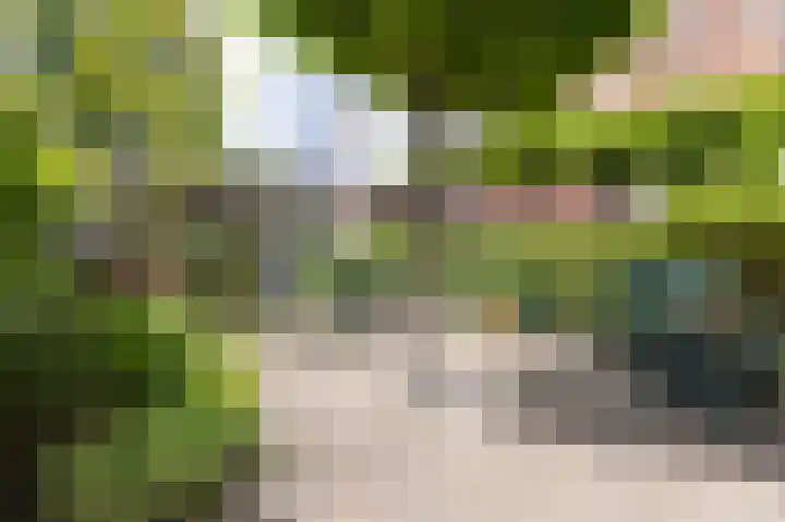 Jeudje 8 Hoorn thumbnail 57