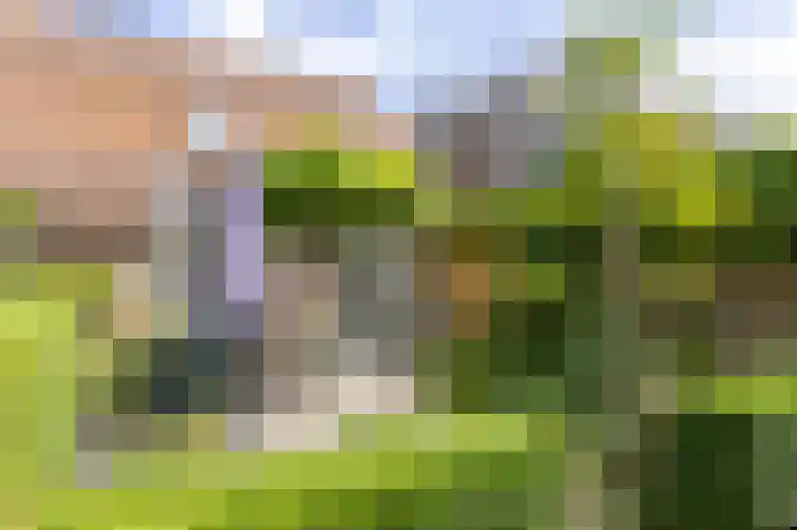 Jeudje 8 Hoorn thumbnail 59