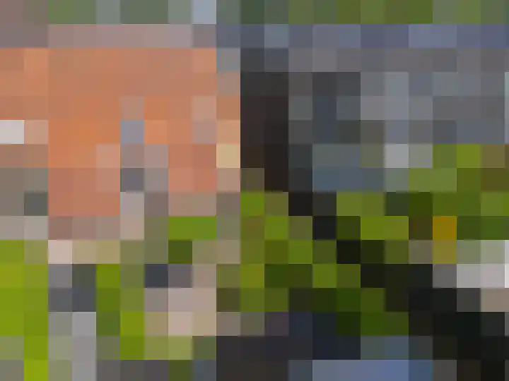 Jeudje 8 Hoorn thumbnail 61