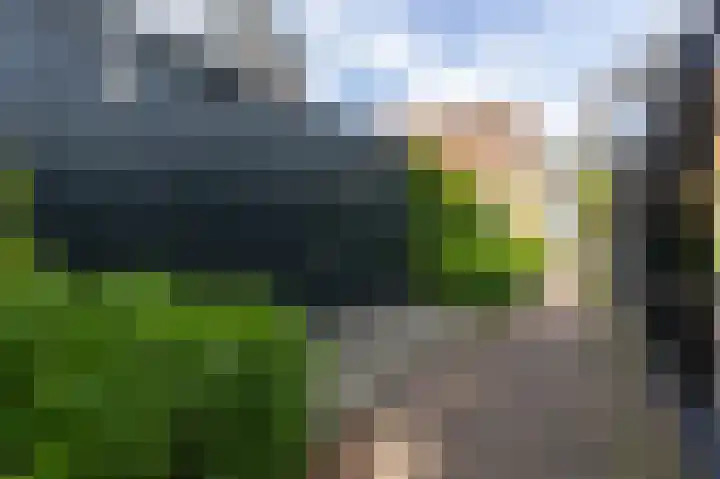 Jeudje 8 Hoorn thumbnail 62