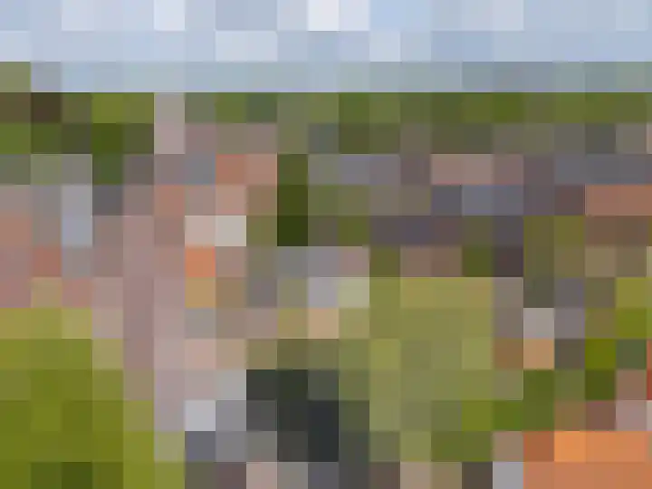Jeudje 8 Hoorn thumbnail 65