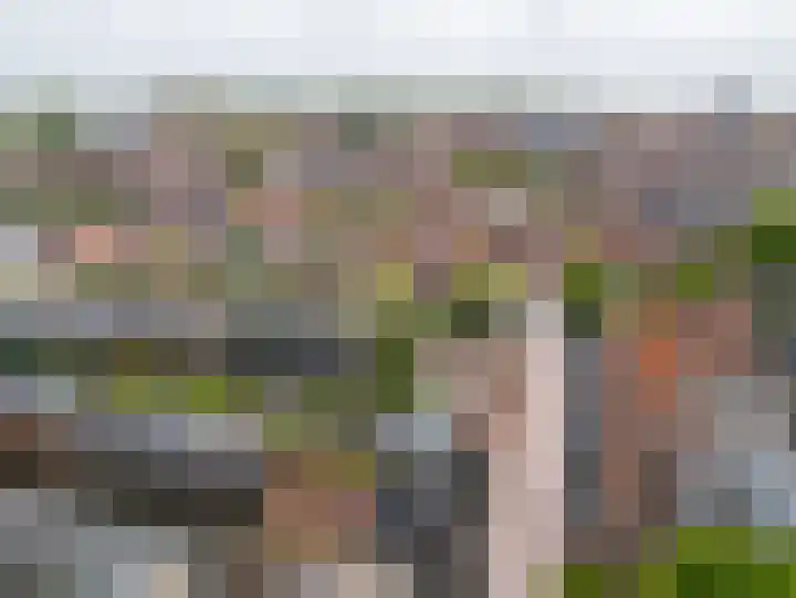 Jeudje 8 Hoorn thumbnail 68