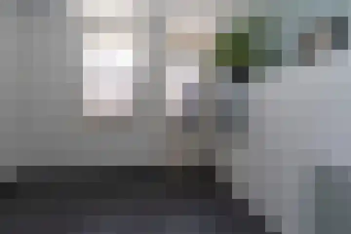 Jeupenhof 7 Stramproy thumbnail 13