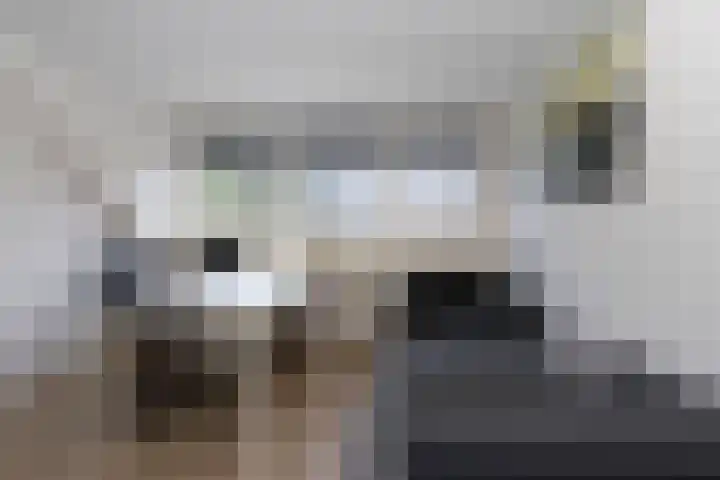 Jeupenhof 7 Stramproy thumbnail 15