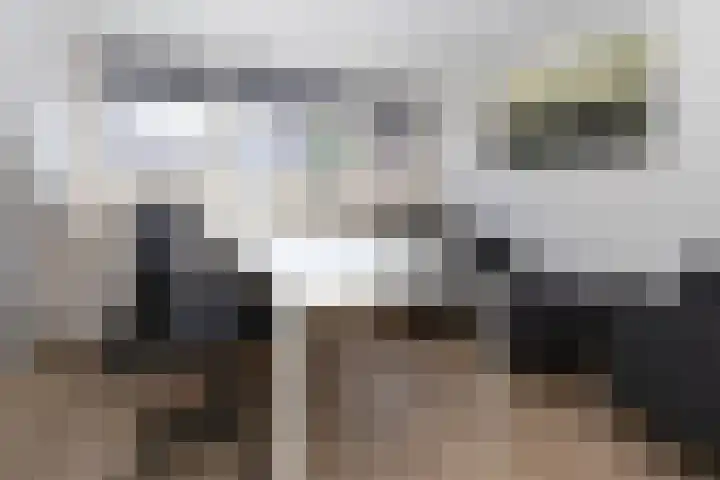 Jeupenhof 7 Stramproy thumbnail 16