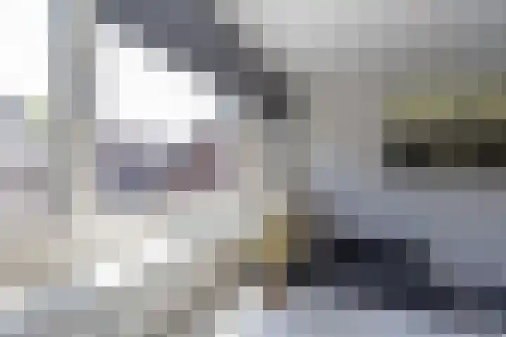 Jeupenhof 7 Stramproy thumbnail 17
