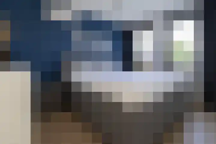 Jeupenhof 7 Stramproy thumbnail 21