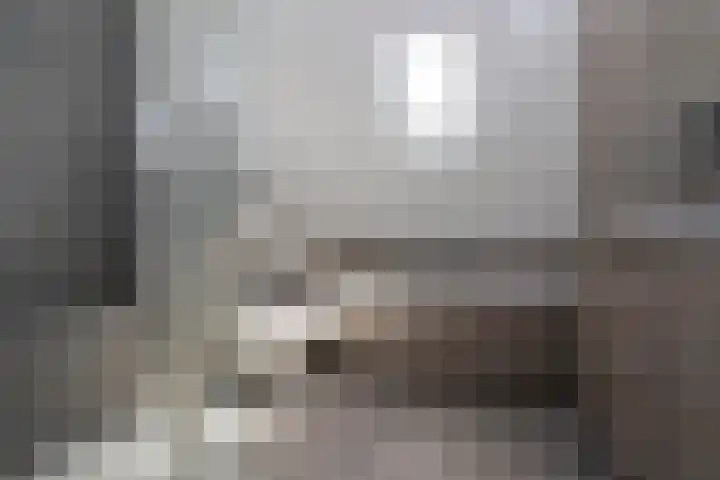 Jeupenhof 7 Stramproy thumbnail 25