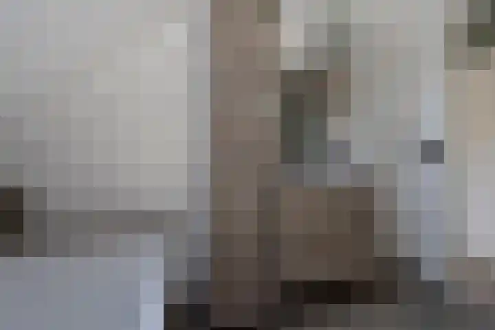 Jeupenhof 7 Stramproy thumbnail 26