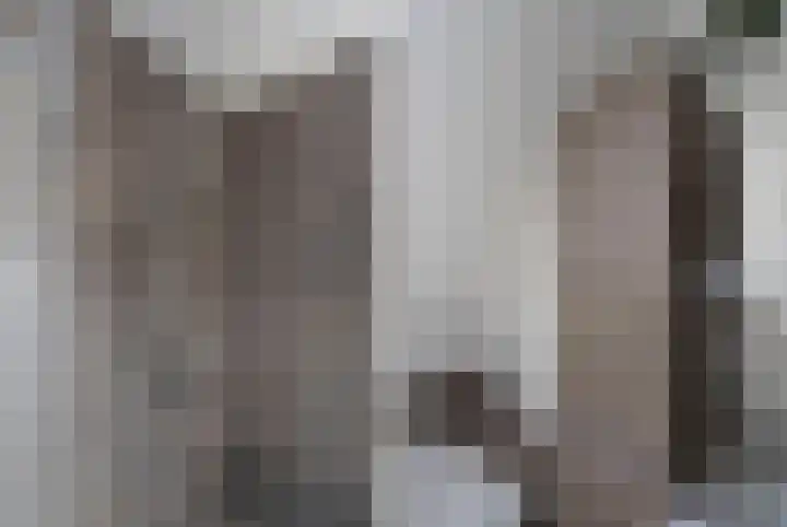 Jeupenhof 7 Stramproy thumbnail 28