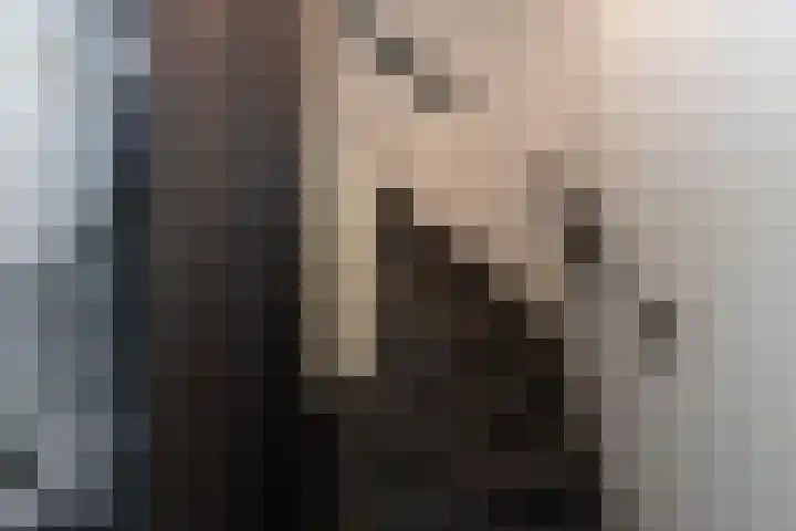 Jeupenhof 7 Stramproy thumbnail 30