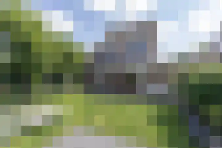 Jeupenhof 7 Stramproy thumbnail 31