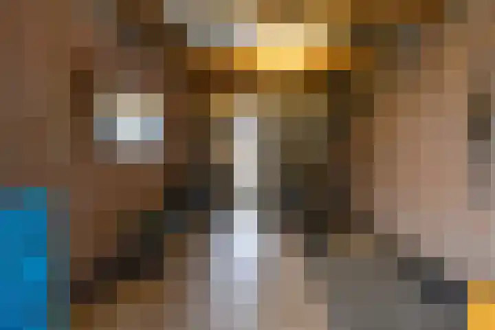 Jeupenhof 7 Stramproy thumbnail 35