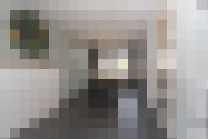 Jeupenhof 7 Stramproy thumbnail 5