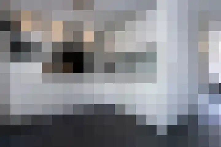 Jeupenhof 7 Stramproy thumbnail 7