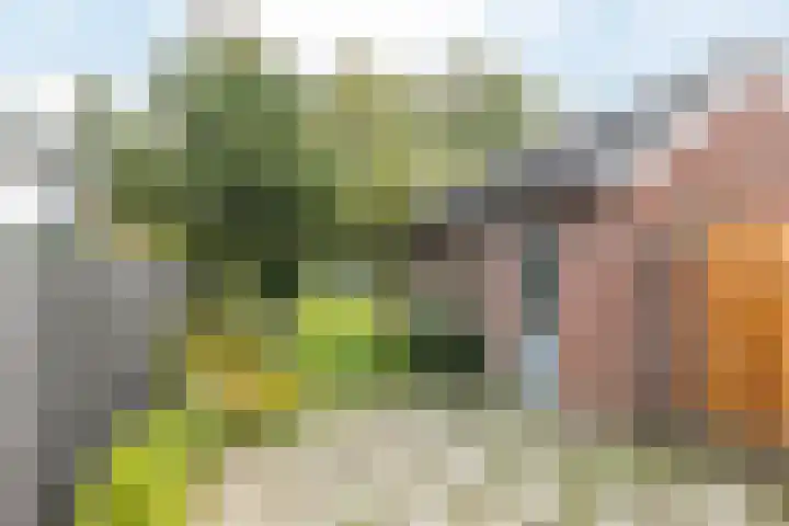 Jeustraat 18 Voerendaal thumbnail 15