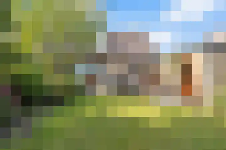Jewelplein 14 Callantsoog thumbnail 33