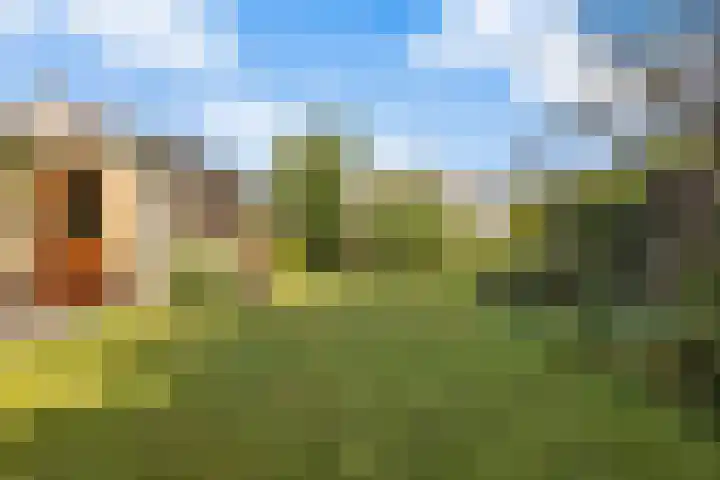 Jewelplein 14 Callantsoog thumbnail 36