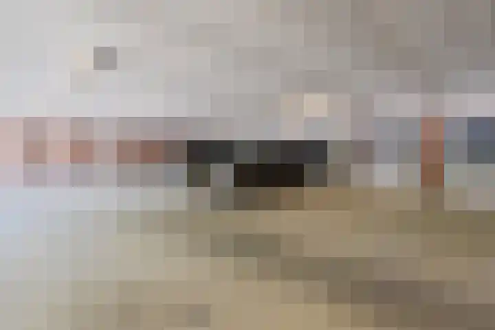 Jezuïetenplein 16 Oudenbosch thumbnail 33