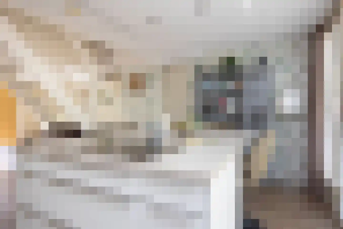 Jezuïetenstraat 14 Arnhem thumbnail 19