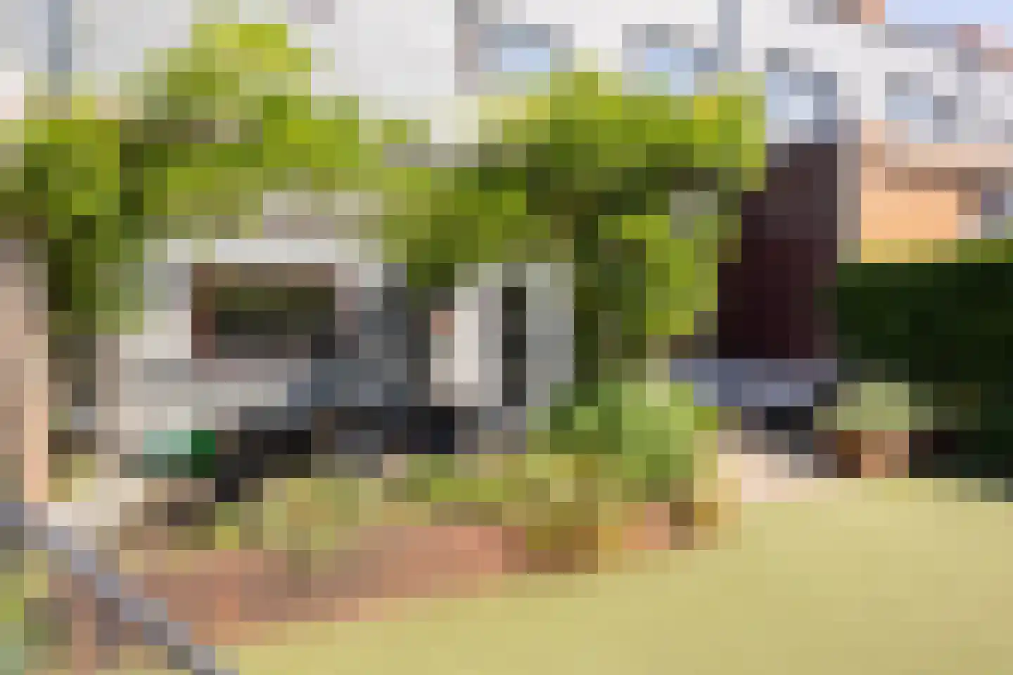 Jezuïetenstraat 14 Arnhem thumbnail 36