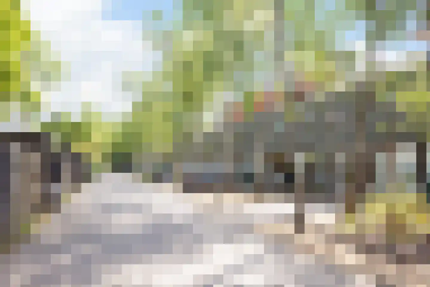 Jezuïetenstraat 14 Arnhem thumbnail 45