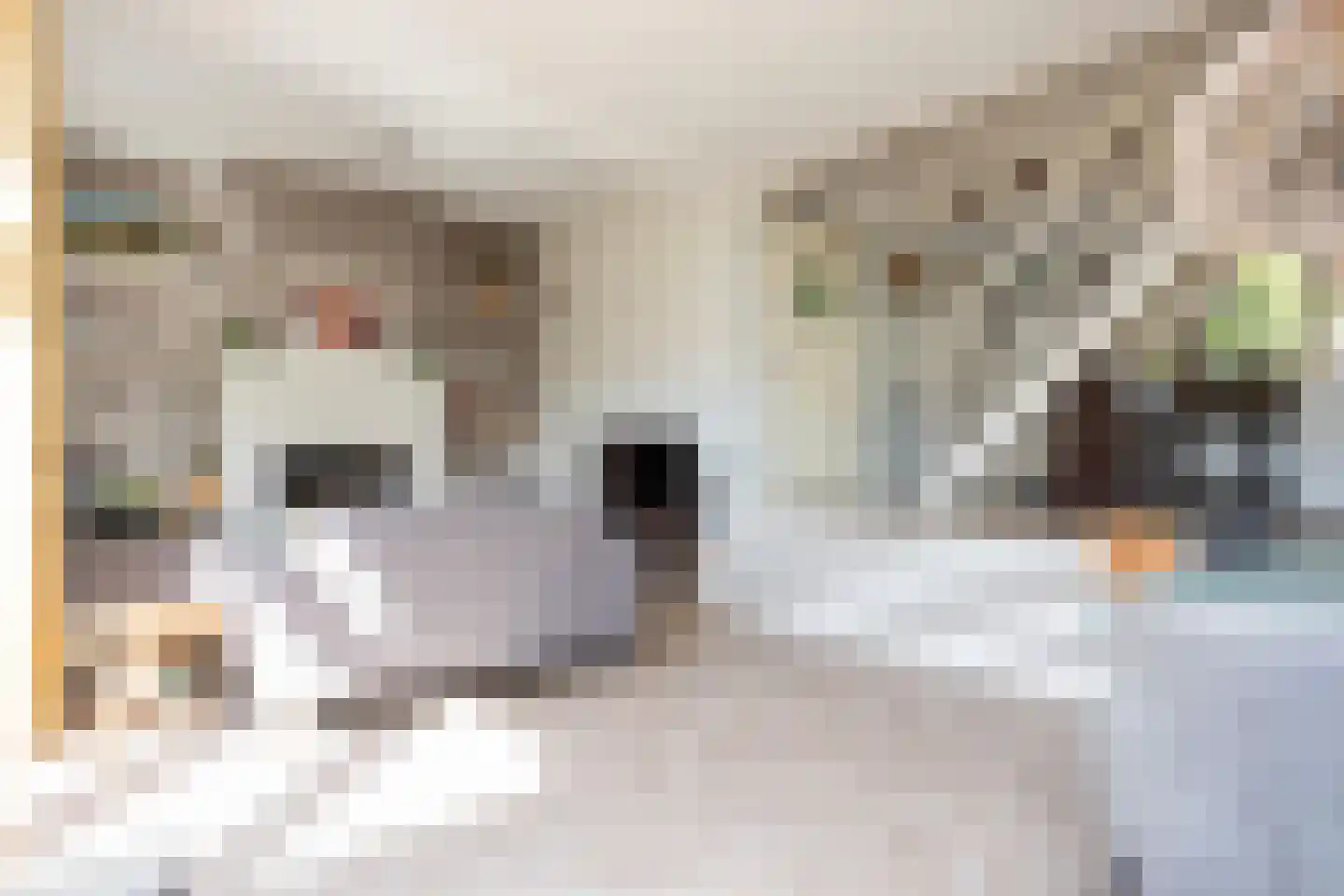 Jezuïetenstraat 14 Arnhem thumbnail 7