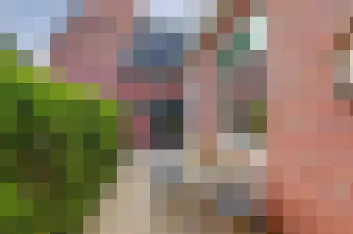 Jezuïetenstraat 6 Venlo thumbnail 15