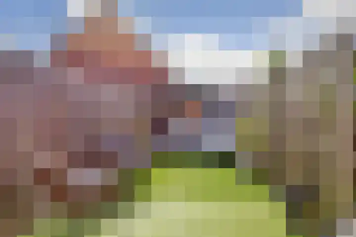 Jezuïetenstraat 6 Venlo thumbnail 17