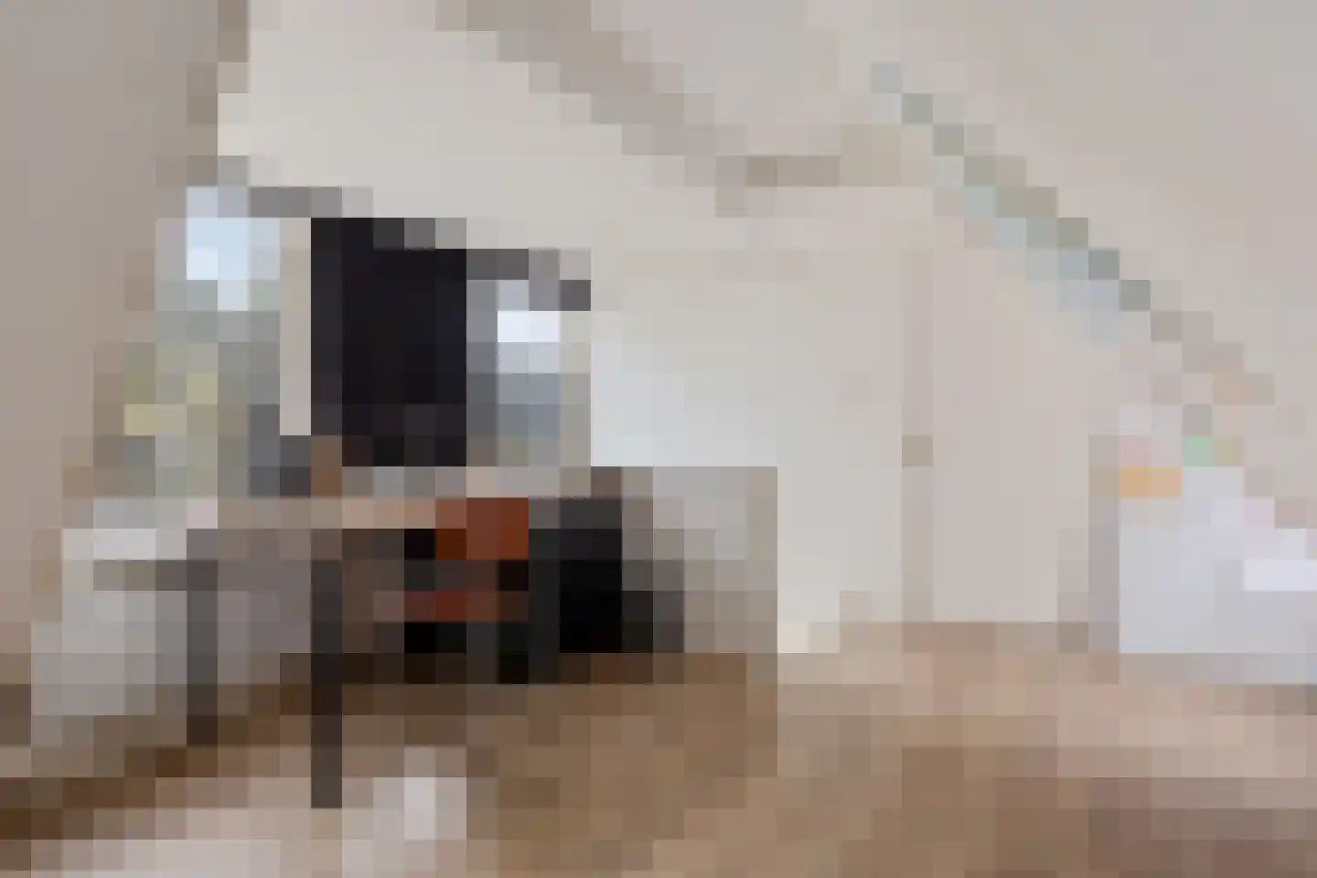JH van Aismawei 16 Bitgummole thumbnail 34