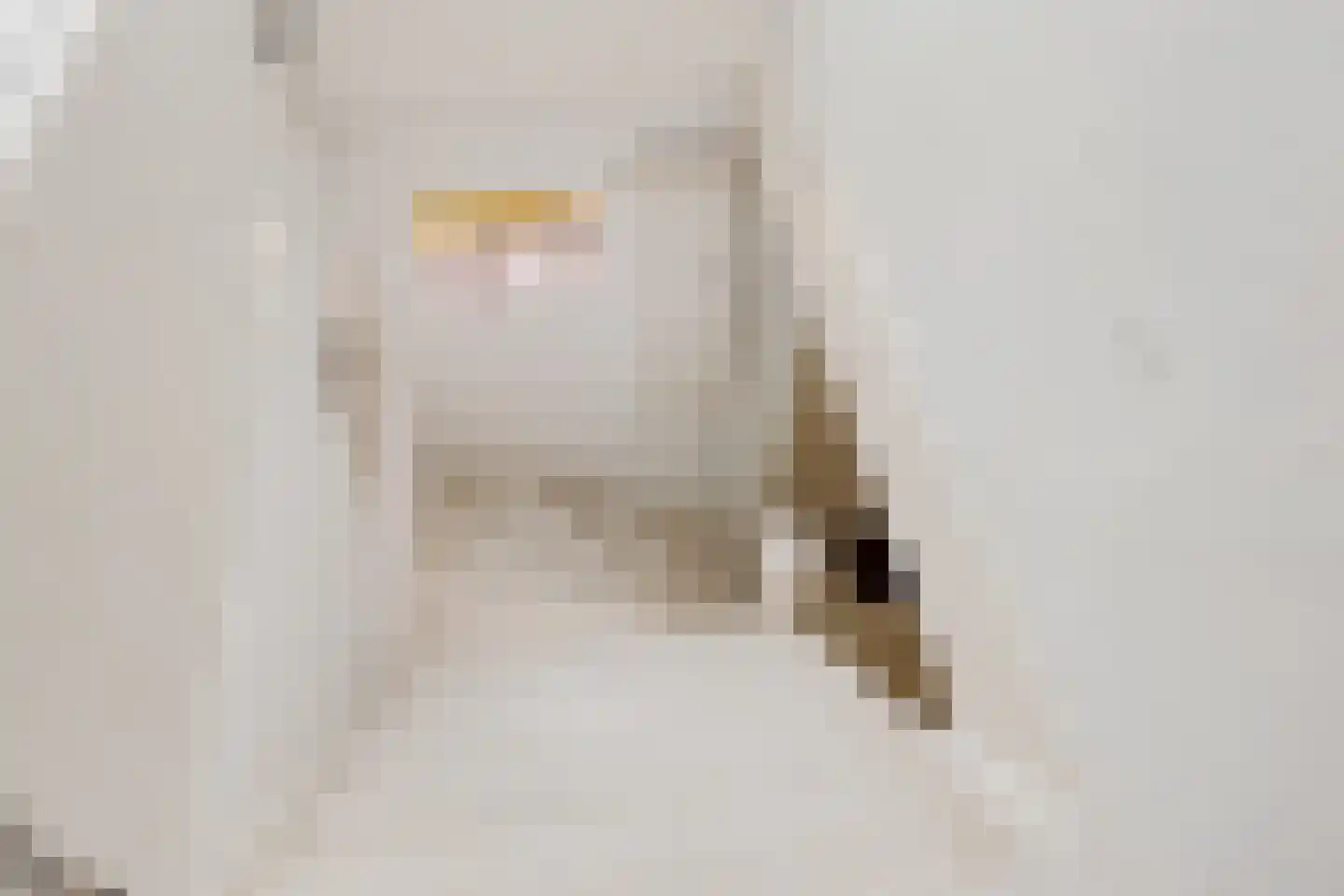 JH van Aismawei 16 Bitgummole thumbnail 35