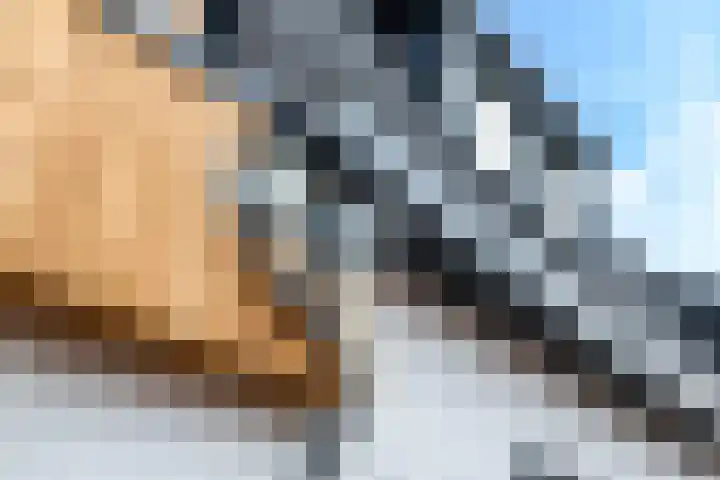 Jhr. de Bellefroidweg 7 A Wehl thumbnail 22