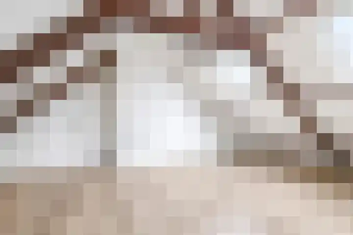 Jhr. de Bellefroidweg 7 D Wehl thumbnail 11