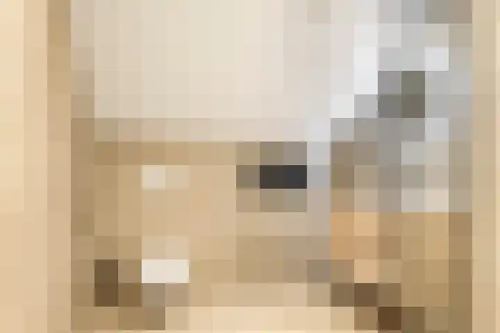 Jhr. de Bellefroidweg 7 D Wehl thumbnail 15