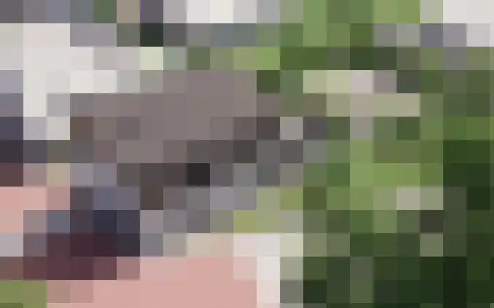 Jhr. de Bellefroidweg 7 D Wehl foto 2