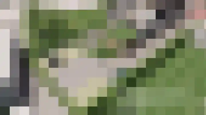 Jhr. de Bellefroidweg 7 D Wehl thumbnail 32