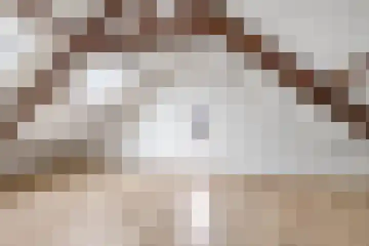 Jhr. de Bellefroidweg 7 D Wehl thumbnail 6