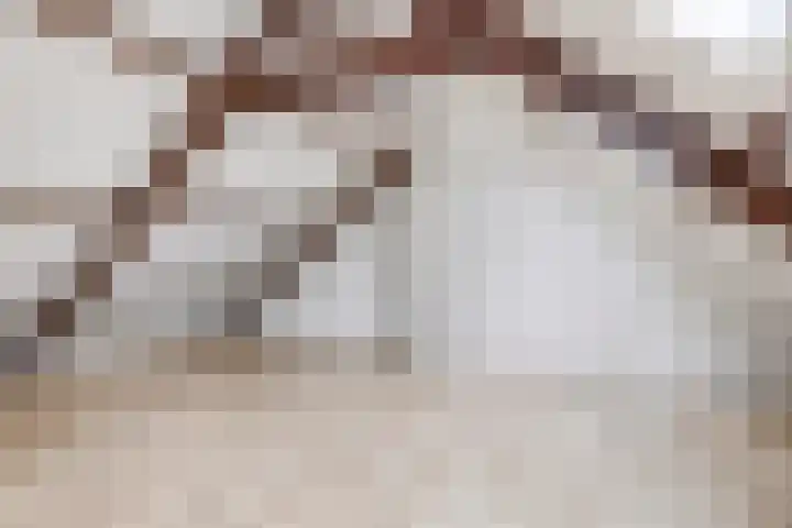 Jhr. de Bellefroidweg 7 D Wehl thumbnail 9