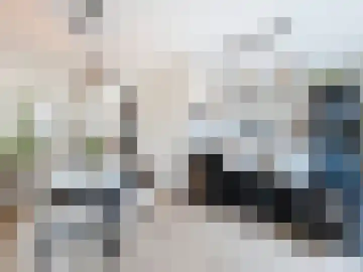 Jhr. de Brauwstraat 2 D Groede thumbnail 10