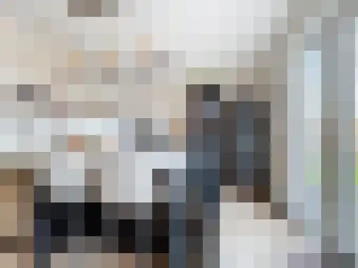 Jhr. de Brauwstraat 2 D Groede thumbnail 11