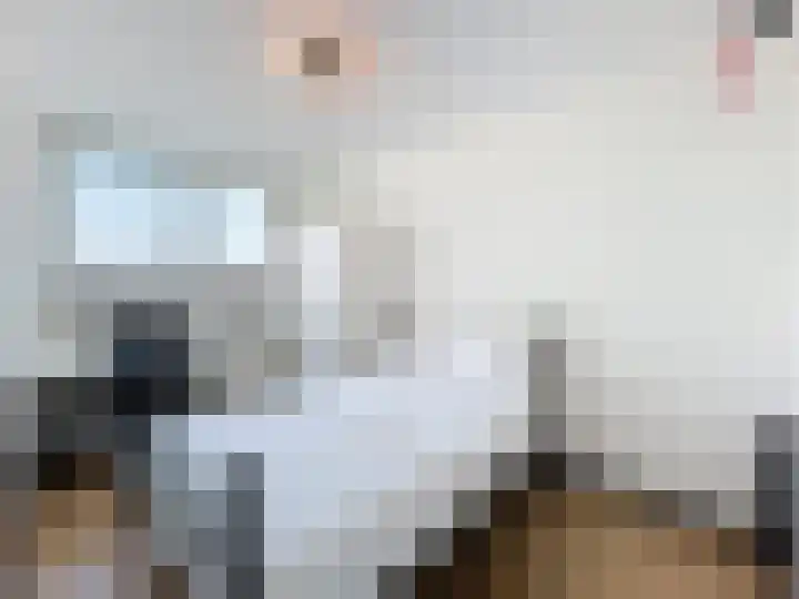 Jhr. de Brauwstraat 2 D Groede thumbnail 17