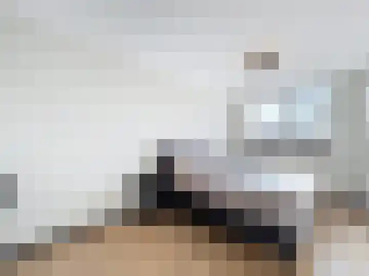 Jhr. de Brauwstraat 2 D Groede thumbnail 18