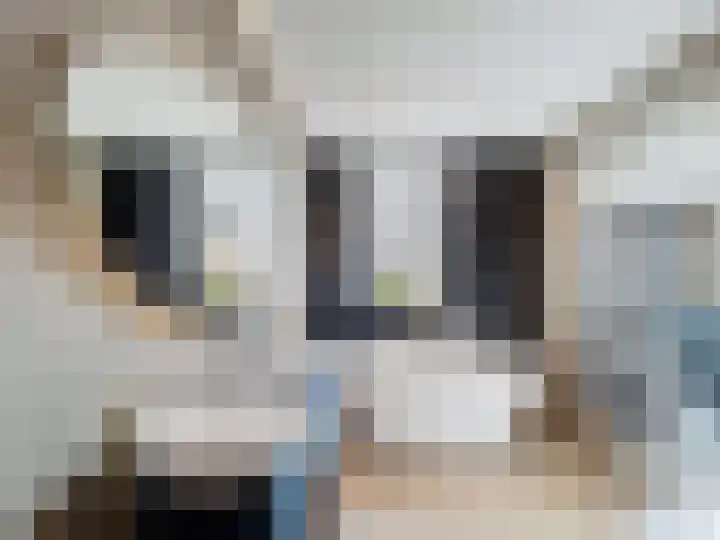 Jhr. de Brauwstraat 2 D Groede thumbnail 19