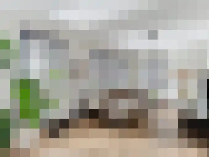 Jhr. de Brauwstraat 2 D Groede thumbnail 7