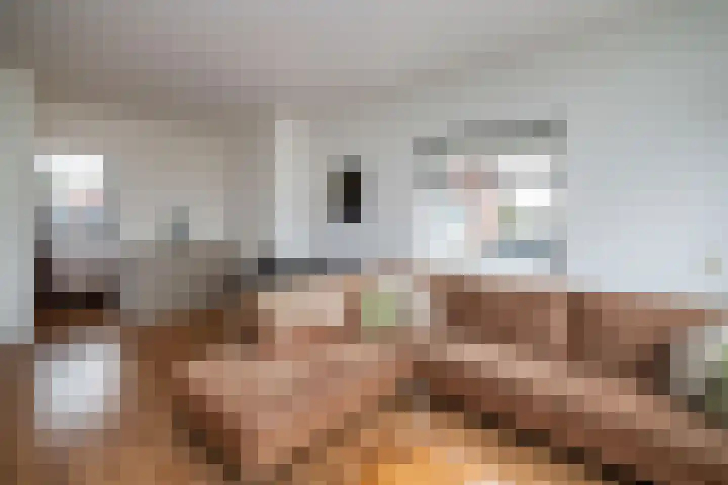 Jhr. De Savornin Lohmanstraat 18 Ridderkerk thumbnail 9