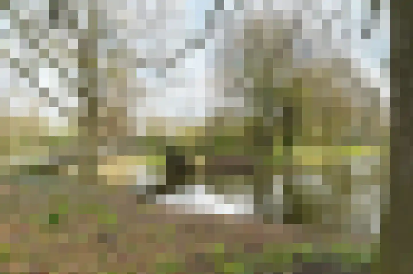 Jhr. De Savornin Lohmanstraat 187 Ridderkerk thumbnail 11