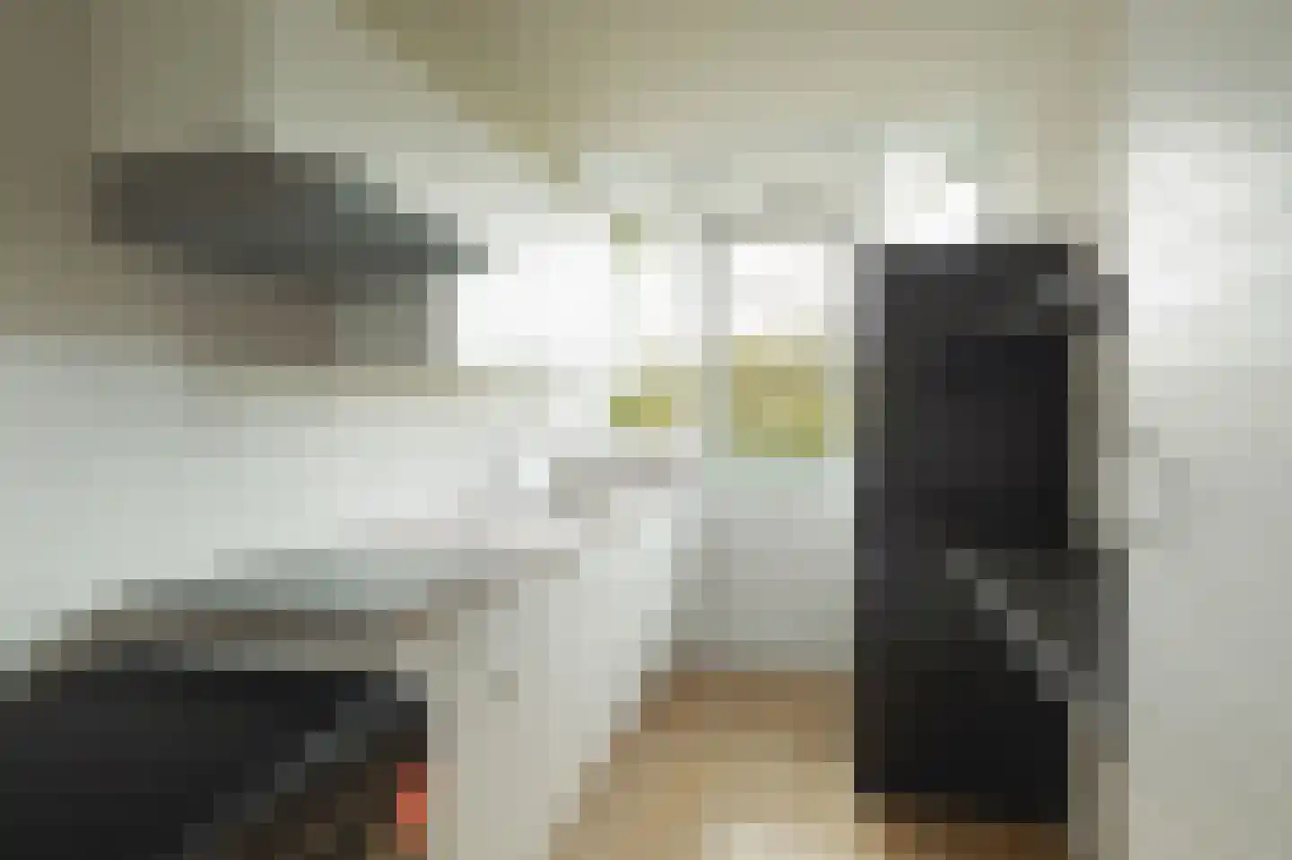 Jhr. De Savornin Lohmanstraat 187 Ridderkerk thumbnail 5